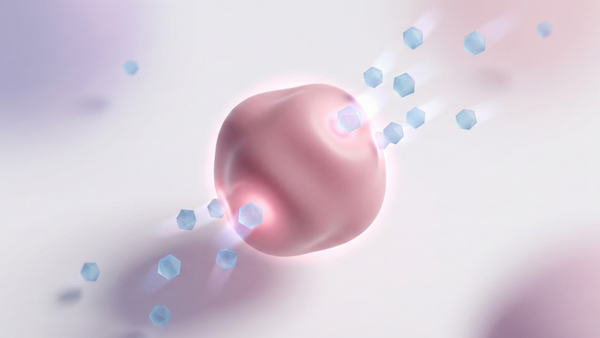 The Reconstruction Phase: A Protocol for Post-Antibiotic Repair