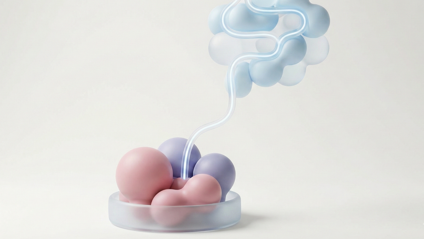 Psychobiotics: How Bifidobacterium Influences Anxiety and GABA