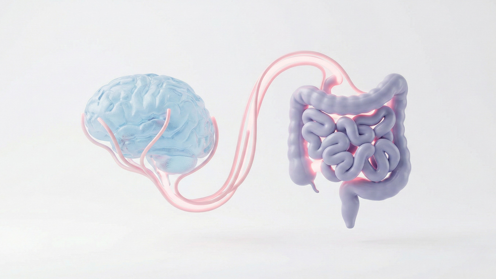How Stress Physically Rewires Your Microbiome (And How to Break It)